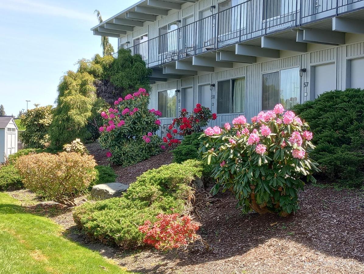 Cocusa Motel Burlington Bagian luar foto
