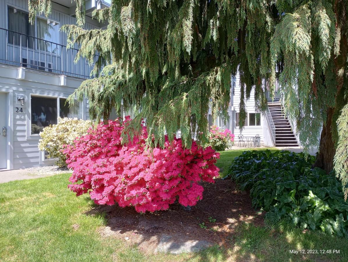 Cocusa Motel Burlington Bagian luar foto